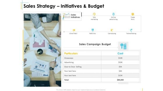 Global Organization Marketing Strategy Development Sales Strategy Initiatives And Budget Elements PDF