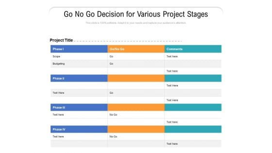 Go No Go Decision For Various Project Stages Ppt PowerPoint Presentation Gallery Format PDF