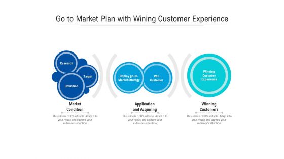Go To Market Plan With Wining Customer Experience Ppt PowerPoint Presentation Icon Layouts PDF