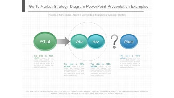 Go To Market Strategy Diagram Powerpoint Presentation Examples