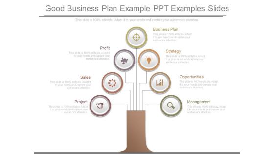 Good Business Plan Example Ppt Examples Slides Good Business Plan Example Ppt Examples Slides