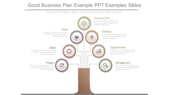 Good Business Plan Example Ppt Examples Slides