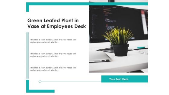 Green Leafed Plant In Vase At Employees Desk Ppt PowerPoint Presentation Outline Visuals PDF