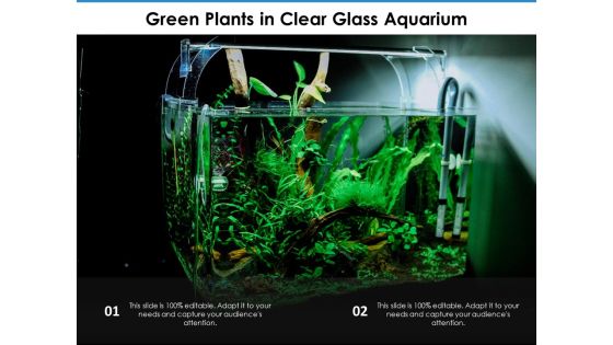 Green Plants In Clear Glass Aquarium Ppt PowerPoint Presentation Gallery Skills PDF