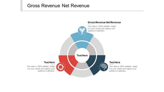 Gross Revenue Net Revenue Ppt PowerPoint Presentation File Information Cpb