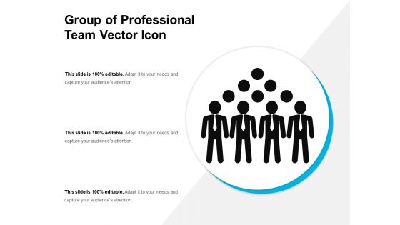 Group Of Professional Team Vector Icon Ppt PowerPoint Presentation Gallery Guidelines PDF