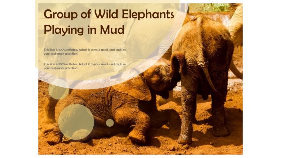 Group Of Wild Elephants Playing In Mud Ppt PowerPoint Presentation Ideas Shapes PDF