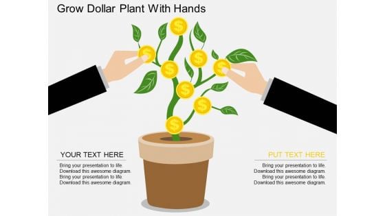 Grow Dollar Plant With Hands Powerpoint Template