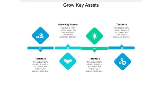 Grow Key Assets Ppt PowerPoint Presentation Icon Template Cpb