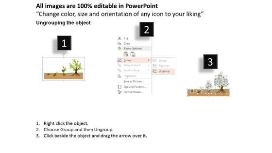 Grow Seeds And Plants For Growth Powerpoint Template
