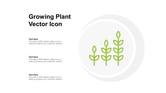 Growing Plant Vector Icon Ppt PowerPoint Presentation Outline Icon