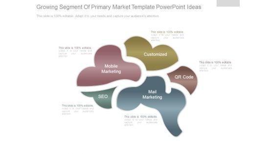 Growing Segment Of Primary Market Template Powerpoint Ideas