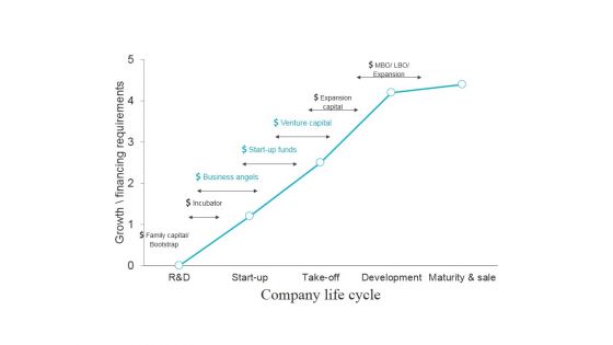 Growth Financing Requirements Ppt Powerpoint Presentation Model Graphics Pictures