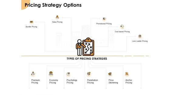 Growth Strategy And Growth Management Implementation Pricing Strategy Options Ppt Ideas Introduction PDF