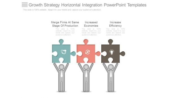 Growth Strategy Horizontal Integration Powerpoint Templates