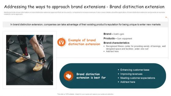 Guide For Brand Addressing The Ways To Approach Brand Extensions Brand Portrait PDF