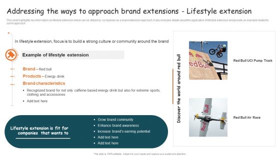 Guide For Brand Addressing The Ways To Approach Brand Extensions Lifestyle Icons PDF