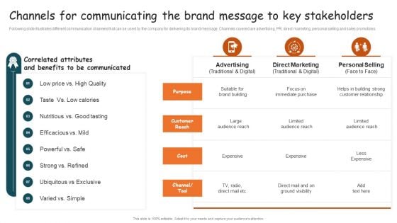 Guide For Brand Channels For Communicating The Brand Message To Key Professional PDF