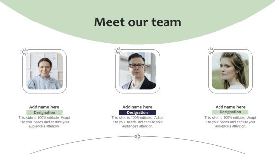 Guide For Global Marketing Meet Our Team Ppt Model Pictures PDF