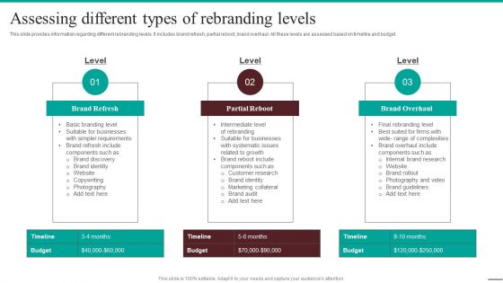 Guide For Systematic Assessing Different Types Of Rebranding Levels Portrait PDF