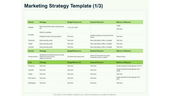 Guide To Overseas Expansion Plan For Corporate Entity Marketing Strategy Template Budget Download PDF