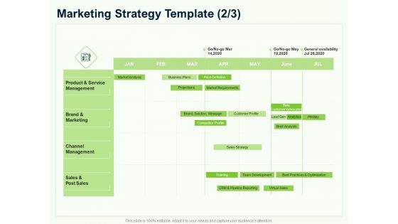 Guide To Overseas Expansion Plan For Corporate Entity Marketing Strategy Template Channel Professional PDF