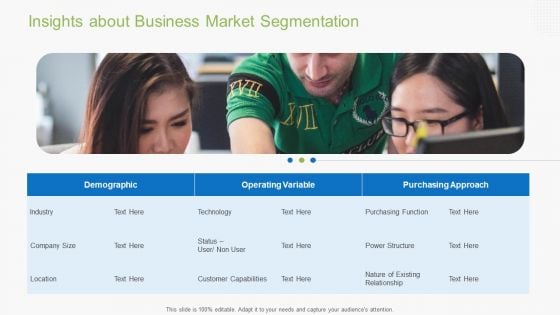 Guidebook For Business Insights About Business Market Segmentation Pictures PDF