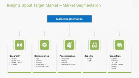 Guidebook For Business Insights About Target Market Market Segmentation Formats PDF