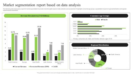 Guidebook For Executing Business Market Intelligence Market Segmentation Report Rules PDF