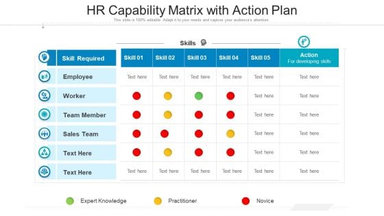 HR Capability Matrix With Action Plan Ppt Show Graphic Tips PDF