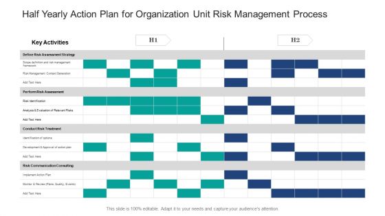 Half Yearly Action Plan For Organization Unit Risk Management Process Mockup