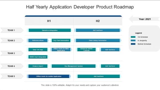 Half Yearly Application Developer Product Roadmap Infographics