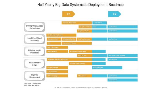 Half Yearly Big Data Systematic Deployment Roadmap Graphics