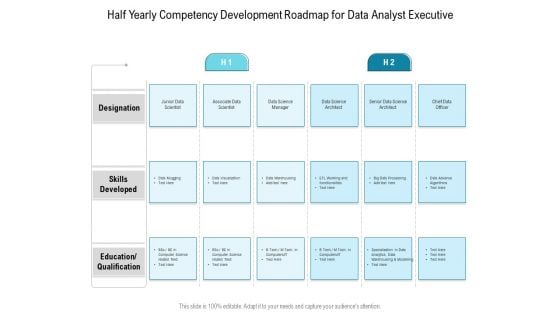 Half Yearly Competency Development Roadmap For Data Analyst Executive Mockup