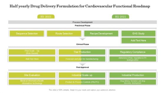 Half Yearly Drug Delivery Formulation For Cardiovascular Functional Roadmap Designs