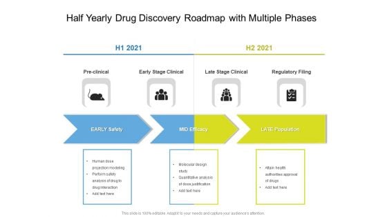 Half Yearly Drug Discovery Roadmap With Multiple Phases Introduction