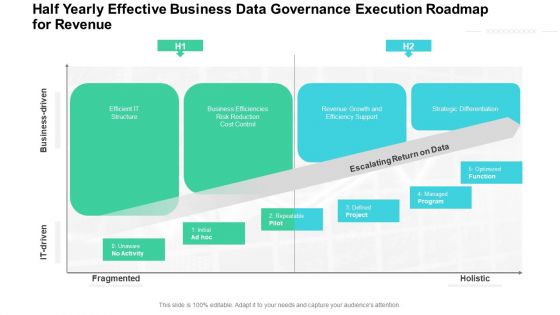 Half Yearly Effective Business Data Governance Execution Roadmap For Revenue Brochure