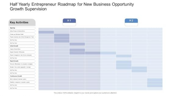 Half Yearly Entrepreneur Roadmap For New Business Opportunity Growth Supervision Formats PDF