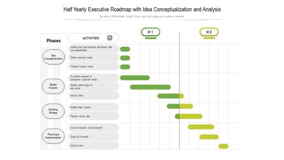 Half Yearly Executive Roadmap With Idea Conceptualization And Analysis Background