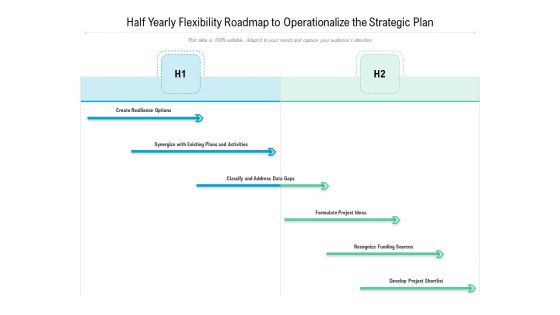 Half Yearly Flexibility Roadmap To Operationalize The Strategic Plan Background