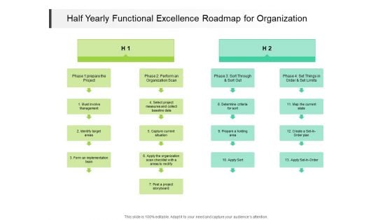 Half Yearly Functional Excellence Roadmap For Organization Formats