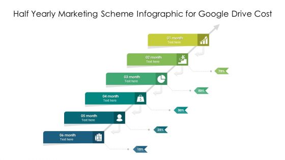 Half Yearly Marketing Scheme Infographic For Google Drive Cost Ppt PowerPoint Presentation File Portfolio PDF