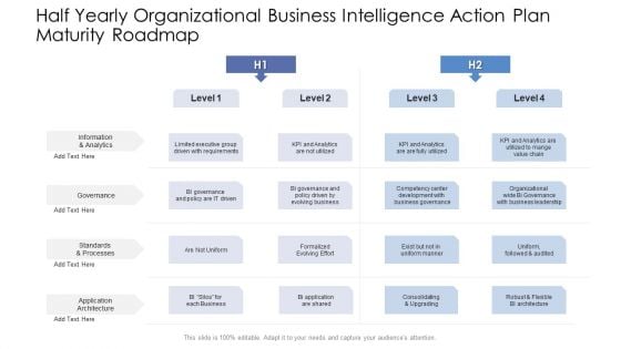Half Yearly Organizational Business Intelligence Action Plan Maturity Roadmap Professional Half Yearly Organizational Business Intelligence Action Plan Maturity Roadmap Professional