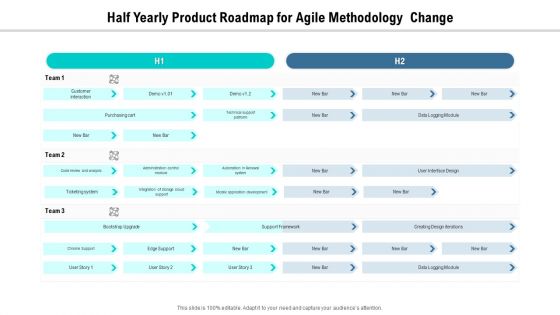 Half Yearly Product Roadmap For Agile Methodology Change Professional