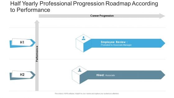 Half Yearly Professional Progression Roadmap According To Performance Designs