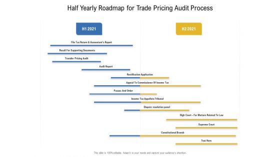 Half Yearly Roadmap For Trade Pricing Audit Process Professional