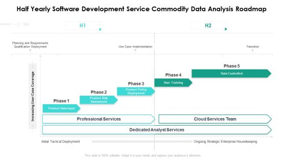 Half Yearly Software Development Service Commodity Data Analysis Roadmap Rules