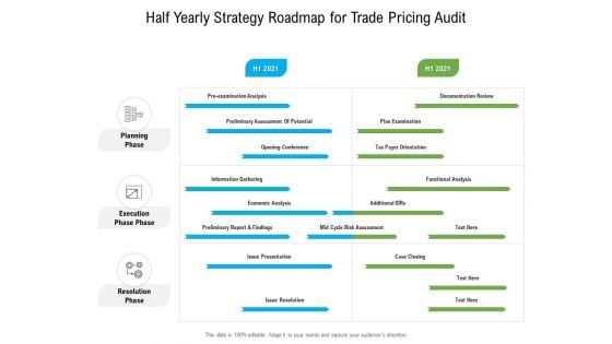 Half Yearly Strategy Roadmap For Trade Pricing Audit Demonstration
