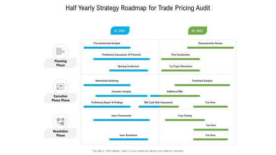 Half Yearly Strategy Roadmap For Trade Pricing Audit Demonstration Half Yearly Strategy Roadmap For Trade Pricing Audit Demonstration