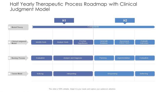 Half Yearly Therapeutic Process Roadmap With Clinical Judgment Model Graphics